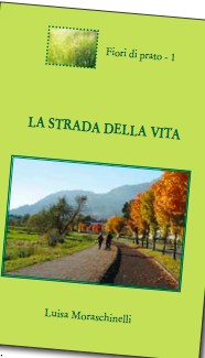 LA STRADA DELLA VITA, il nuovo libro di LUISA MORASCHINELLI